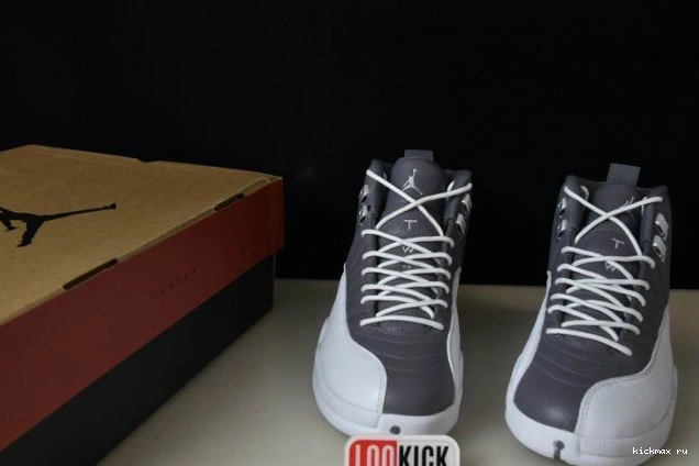 Cheap AIR STEALTH JORDAN CT8025-610 12 0808